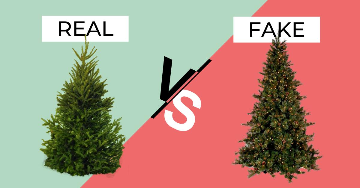 Cant Decide On A Real Vs Fake Christmas Tree Try One Of These Eco