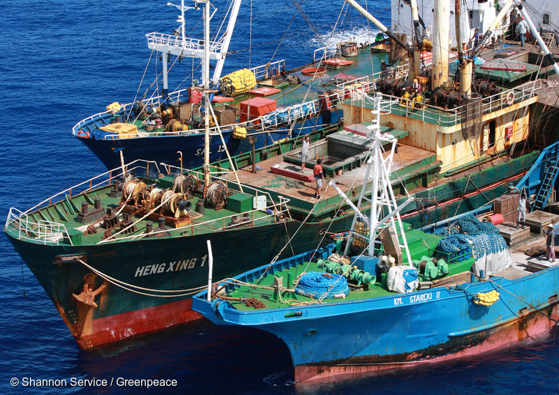 水産資源の持続的な利用を推進する NGO など 8 団体が 「IUU 水産物の輸入及び国内における漁獲・流通の防止策に関する共同提言」を表明 ～日本政府が導入すべき制度を具体化して提案～