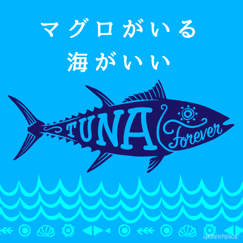 絶滅危惧種 太平洋クロマグロの保護措置を求める署名 3,757人分を水産庁へ提出