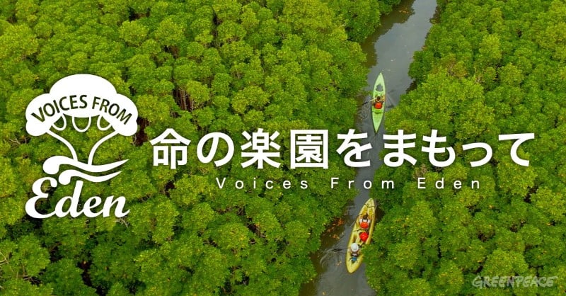 オンライン署名『命の楽園をまもって』9月21日開始～「国際平和デー」、辺野古新基地建設と高江ヘリパッド建設の中止を求めて～