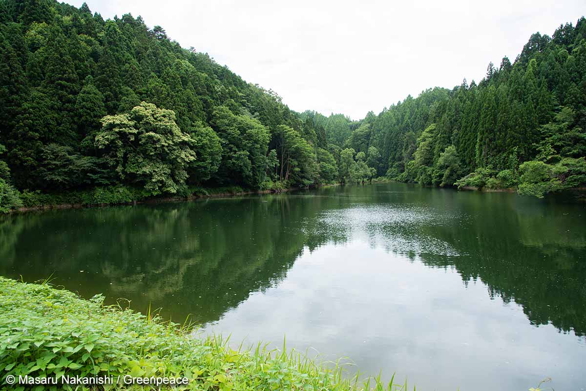 ￼￼￼自然栽培お米農家の本音トークをお届けします