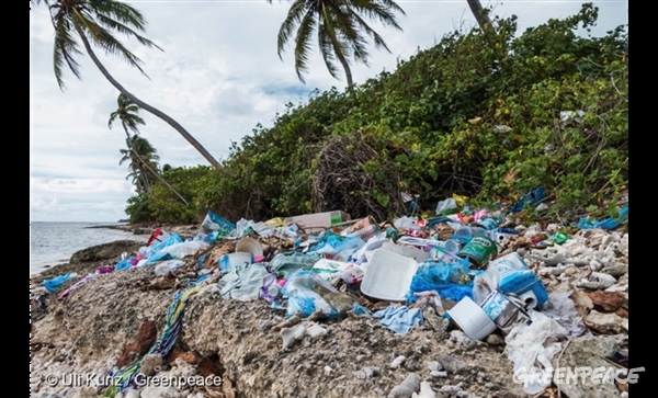 グリーンピース　プラスチック　海をまもる