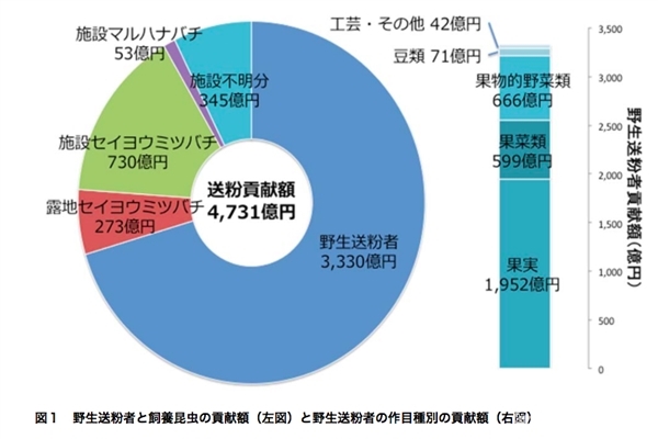 野生送粉者の貢献