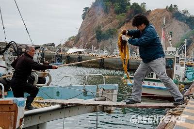 © Noriko Hayashi / Greenpeace