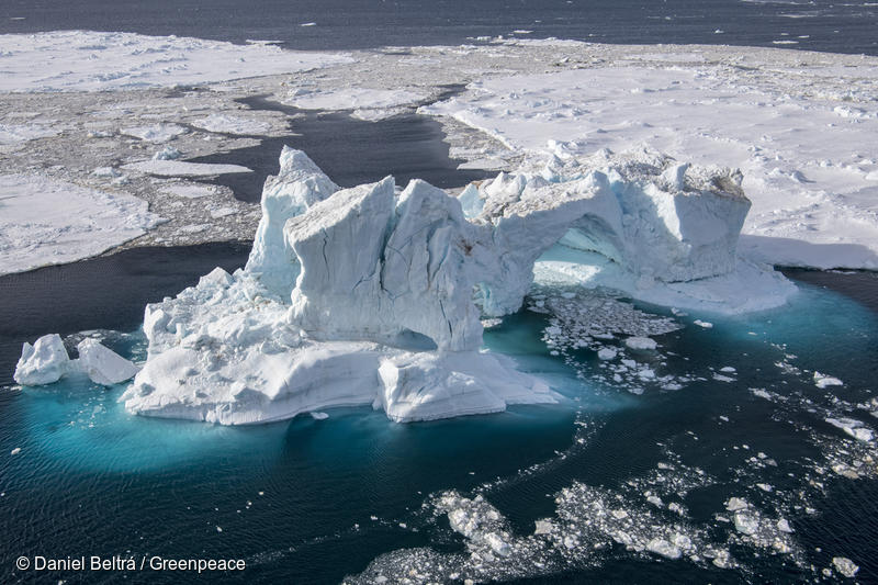 南極の海を保護する責任を怠るーーグリーンピース、南極の海洋生物資源の保存に関する委員会を強く批判