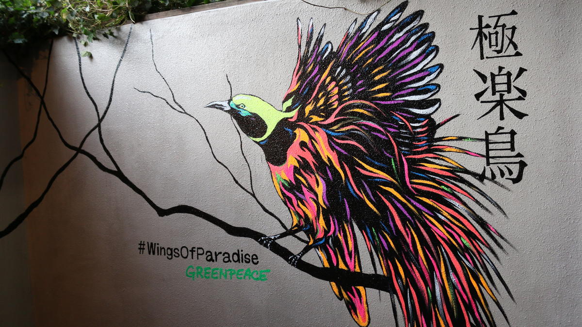 #WingsOfParadise 楽園の翼が熱帯雨林の破壊にスポットライトを当てる