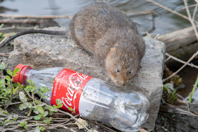 コカコーラのプラスチックごみ