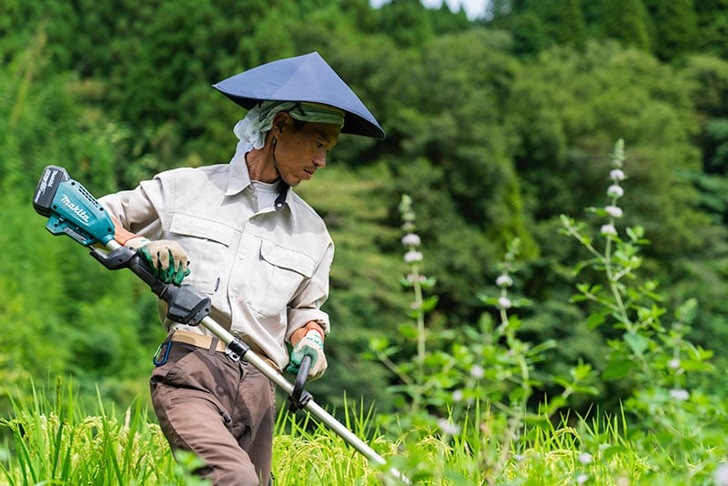 畔の草刈りをする元屋さん。除草剤を使わないので、雑草が育つ季節は定期的に草刈りが必要。