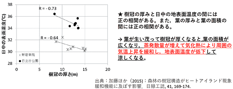 樹冠の厚みと気温