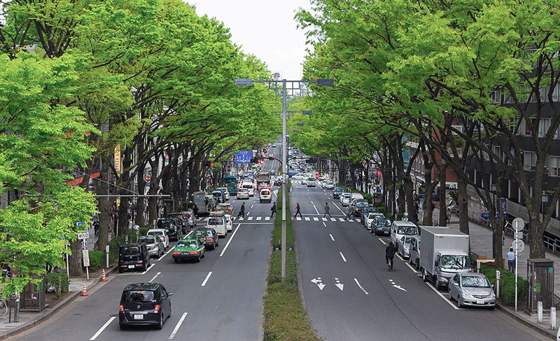 東京都渋谷区原宿・表参道の900m続くケヤキ並木