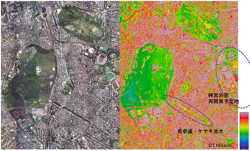 東京の代々木公園や新宿御苑近辺の空撮画像と、その地域の気温・表面温度を図にしたもの