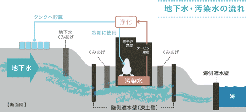 地下水・汚染水の流れ