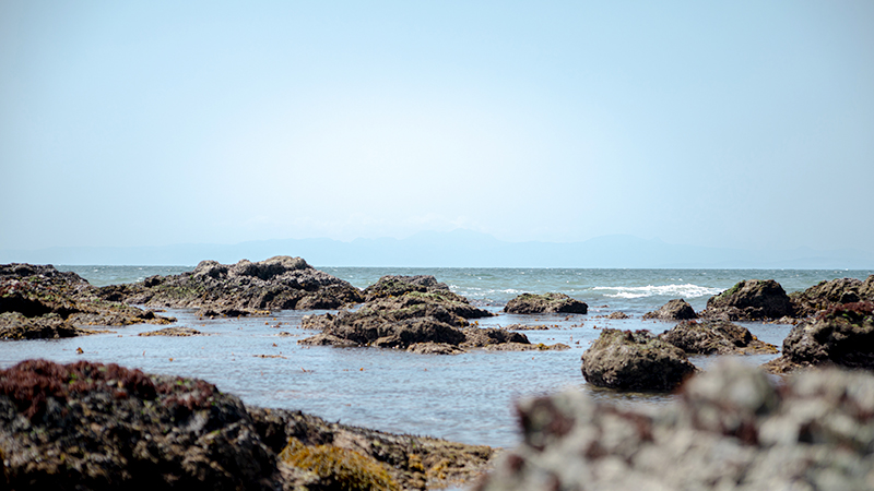 神奈川県、葉山の海岸