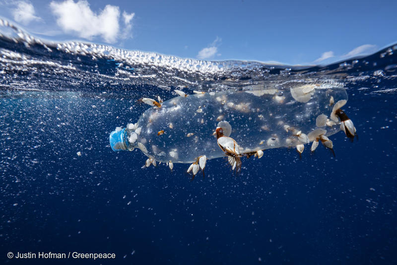 海に流出したペットボトル