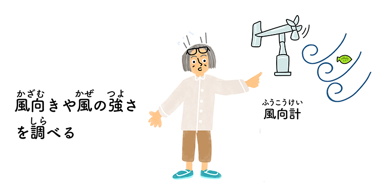 風向きや風の強さを調べるはかせのイラスト