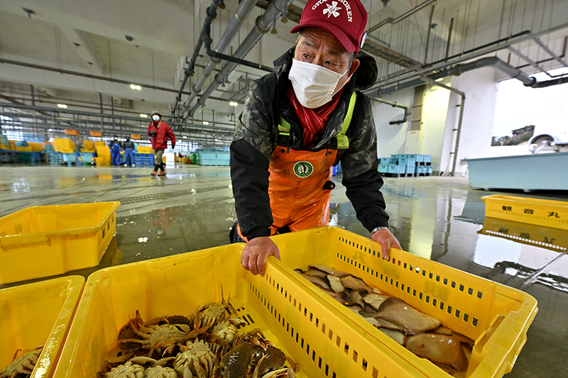 相馬市松川浦の相馬原釜地方卸売市場の魚市場で競り（せり）がおこなわれる様子