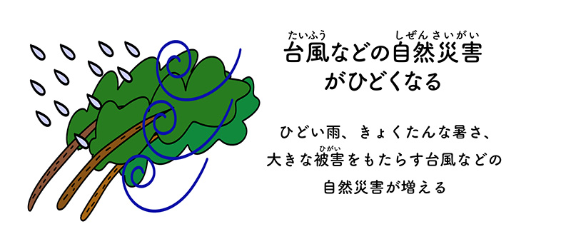 温暖化すると何が起きる？ 台風（たいふう）などの自然災害