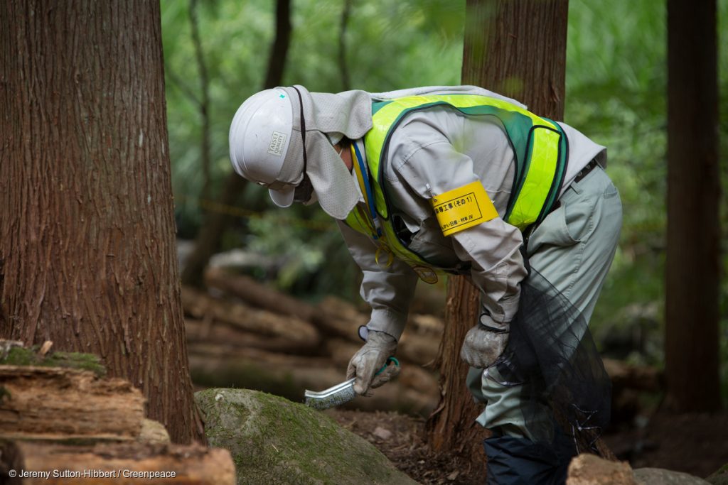 United Nations Human Rights Expert Urges Japanese Government To Protect Fukushima Workers Rights – Greenpeace Supports