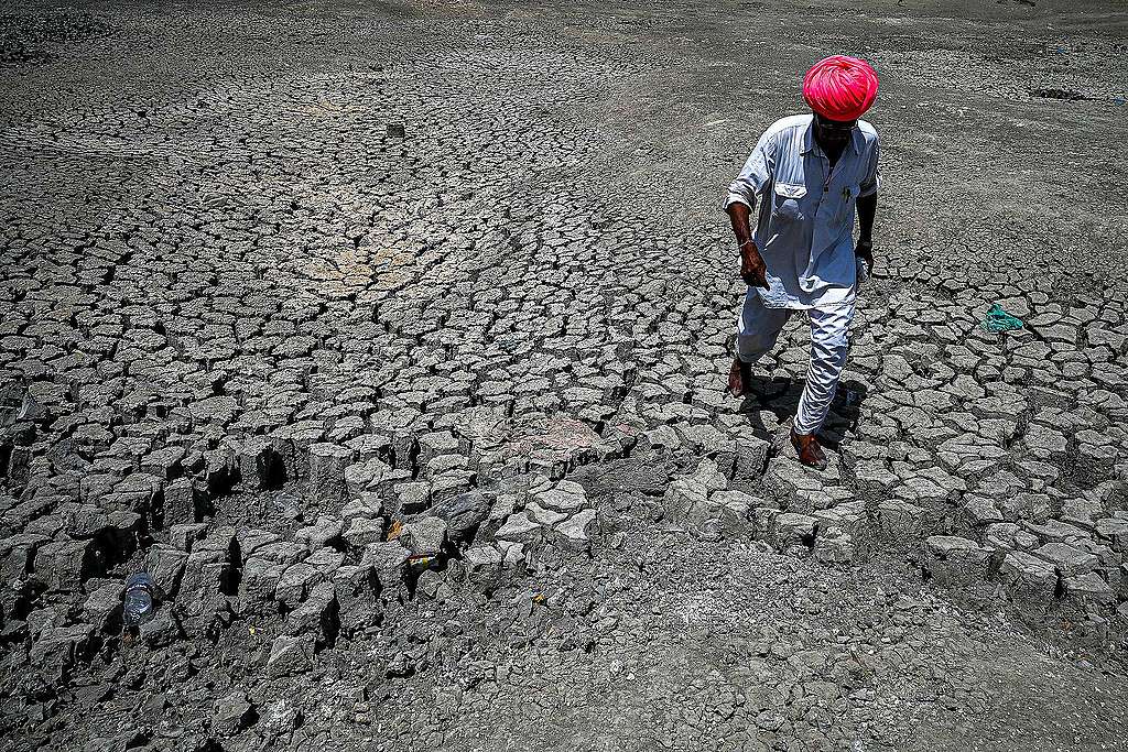 インドの砂漠地帯ラジャスタン州で熱波に苦しむ人々に貴重な水を運ぶ特別列車を、毎日、女性や子どもを中心に
数十人の村人が給水タンクを抱えて待っている