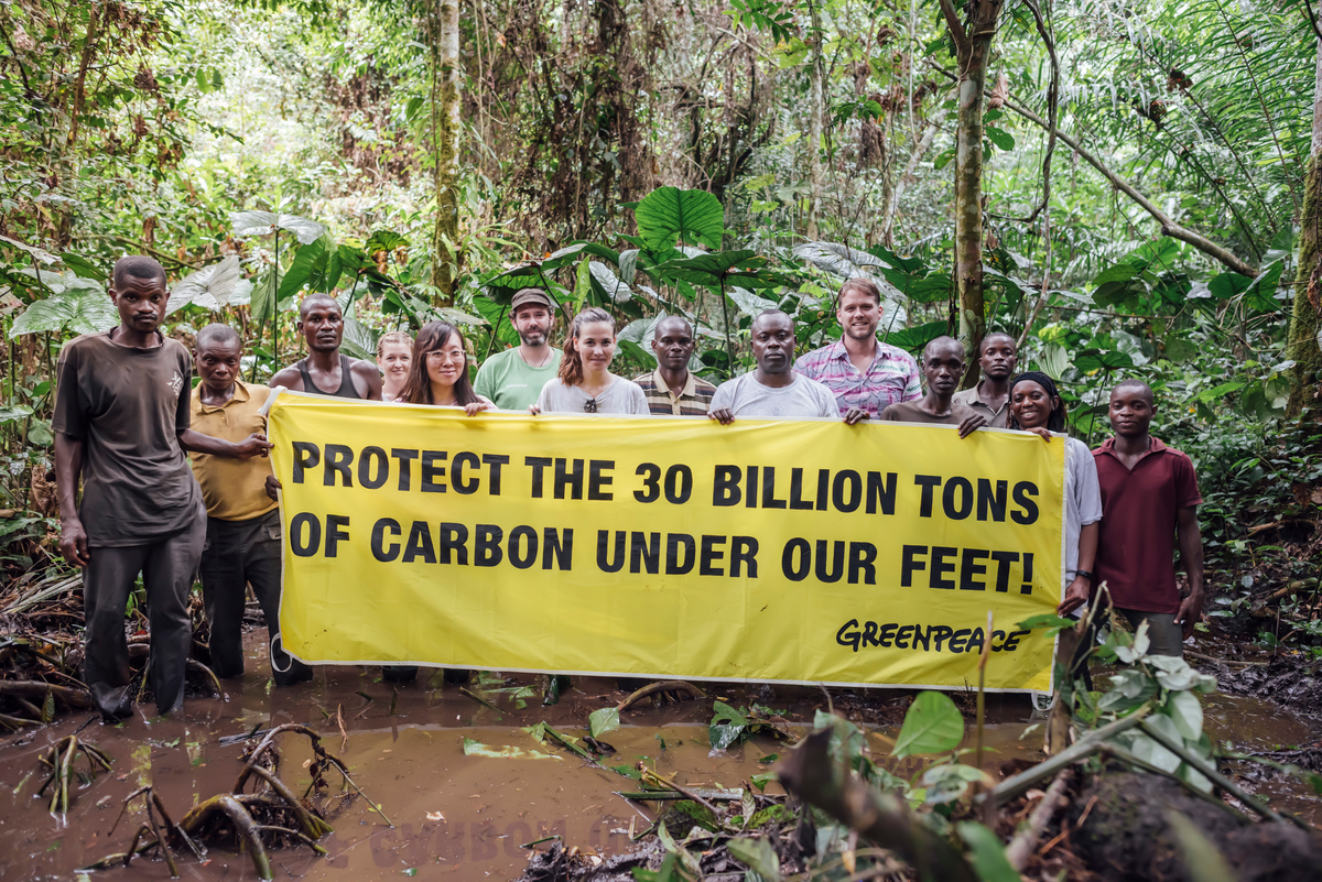 Banner in the Forest in Democratic Republic of Congo. © Kevin McElvaney