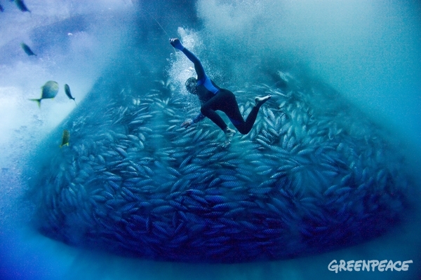 oceans poissons plongeur