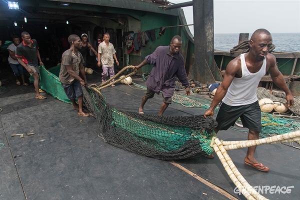 the crew pulling out nets