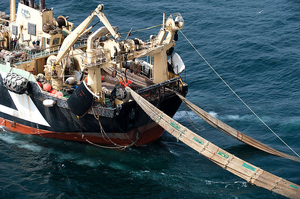 The Margiris KL749 Super Trawler near Mauritania. © Pierre Gleizes / Greenpeace