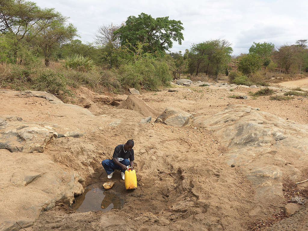 Drought in Tharaka Nithi County in Kenya. © Peter Caton / Greenpeace