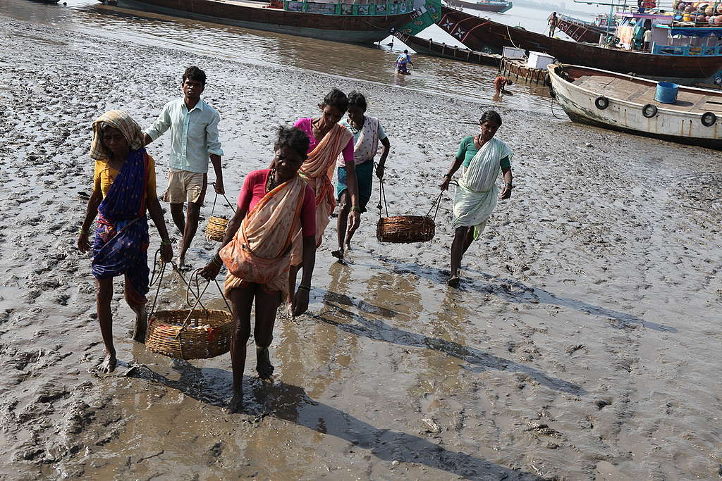 Fishing Community in India. © Sudhanshu Malhotra / Greenpeace