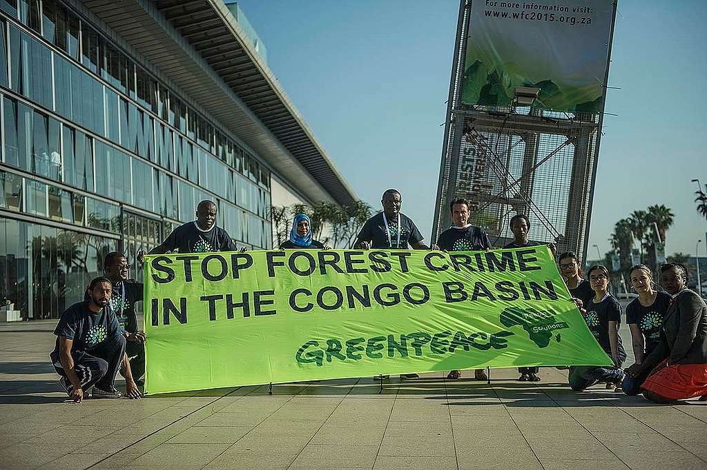 Protest at World Forestry Congress in Durban. © Mujahid Safodien / Greenpeace
