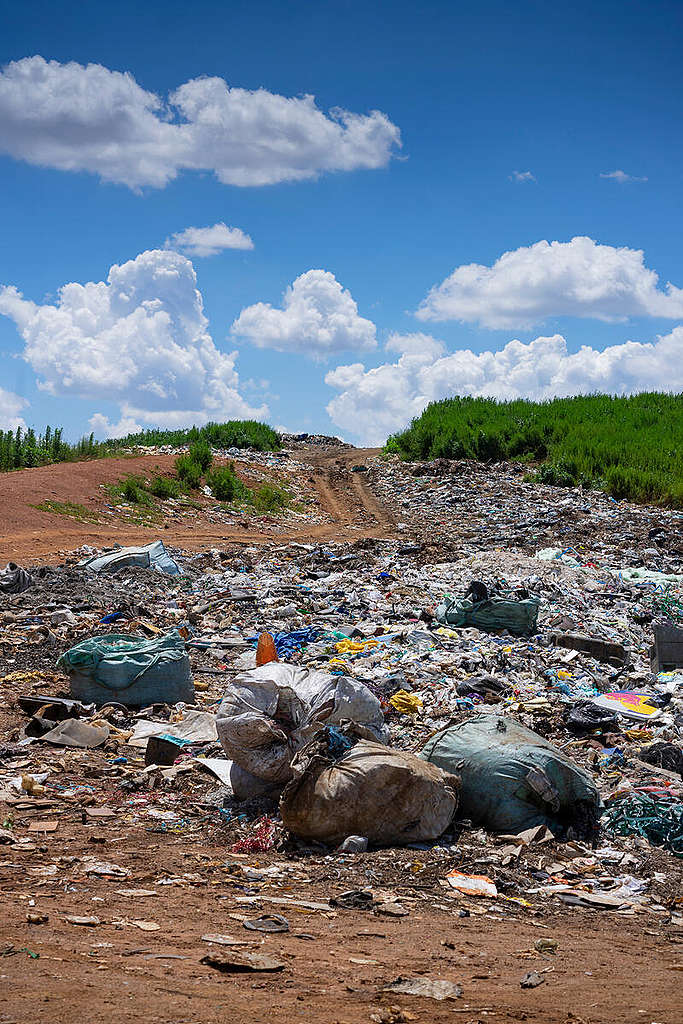 Plastic Waste Collection in Johannesburg. © Philip Schedler / Greenpeace
