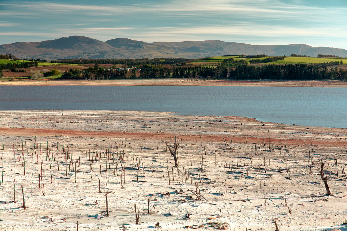 Dwindling Water Supplies at Theewaterskloof Dam in South Africa. © Kevin Sawyer / Greenpeace