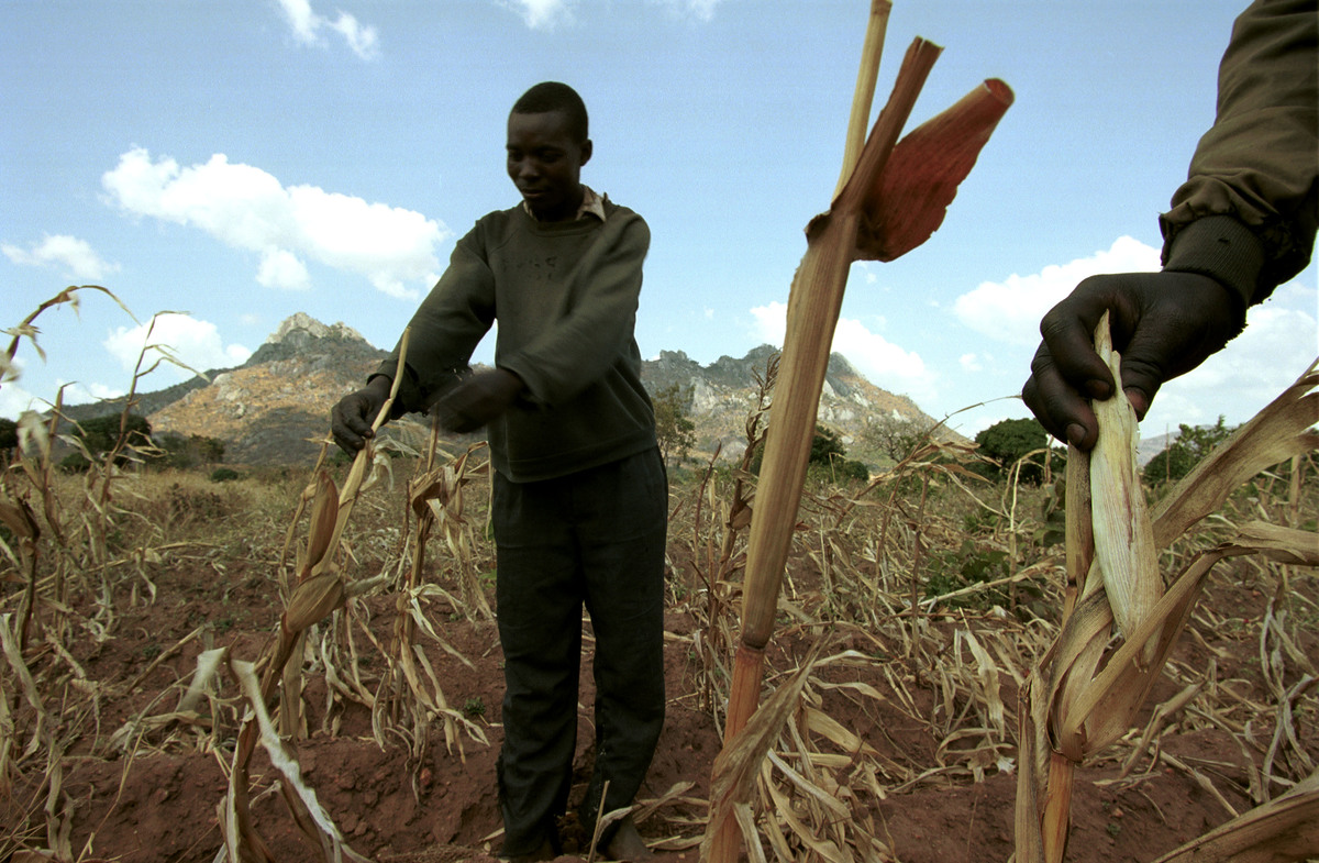 Malawi Famine Documentation. © Clive Shirley / Greenpeace