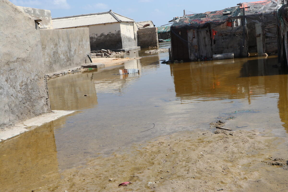Cyclone Gati Aftermath in Somalia. © Abdiqani Hassan / Greenpeace
