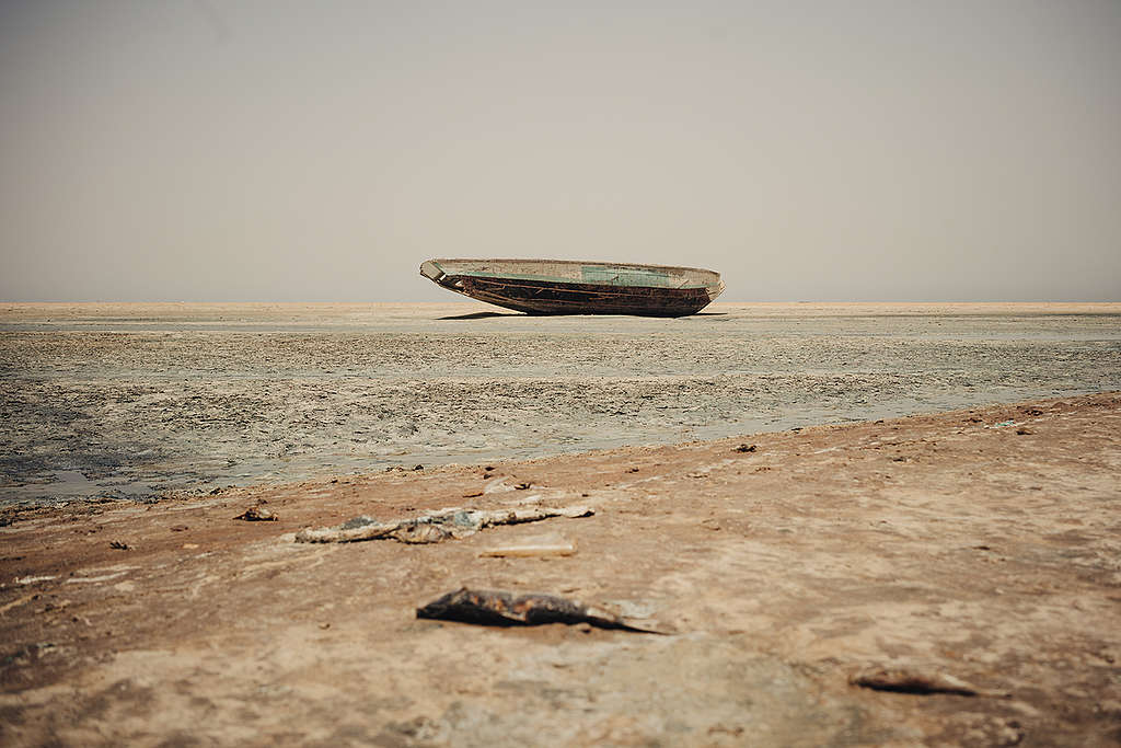 Land Pollution due to Chinese Fish Industry in West Africa. © Liu Yuyang / Greenpeace