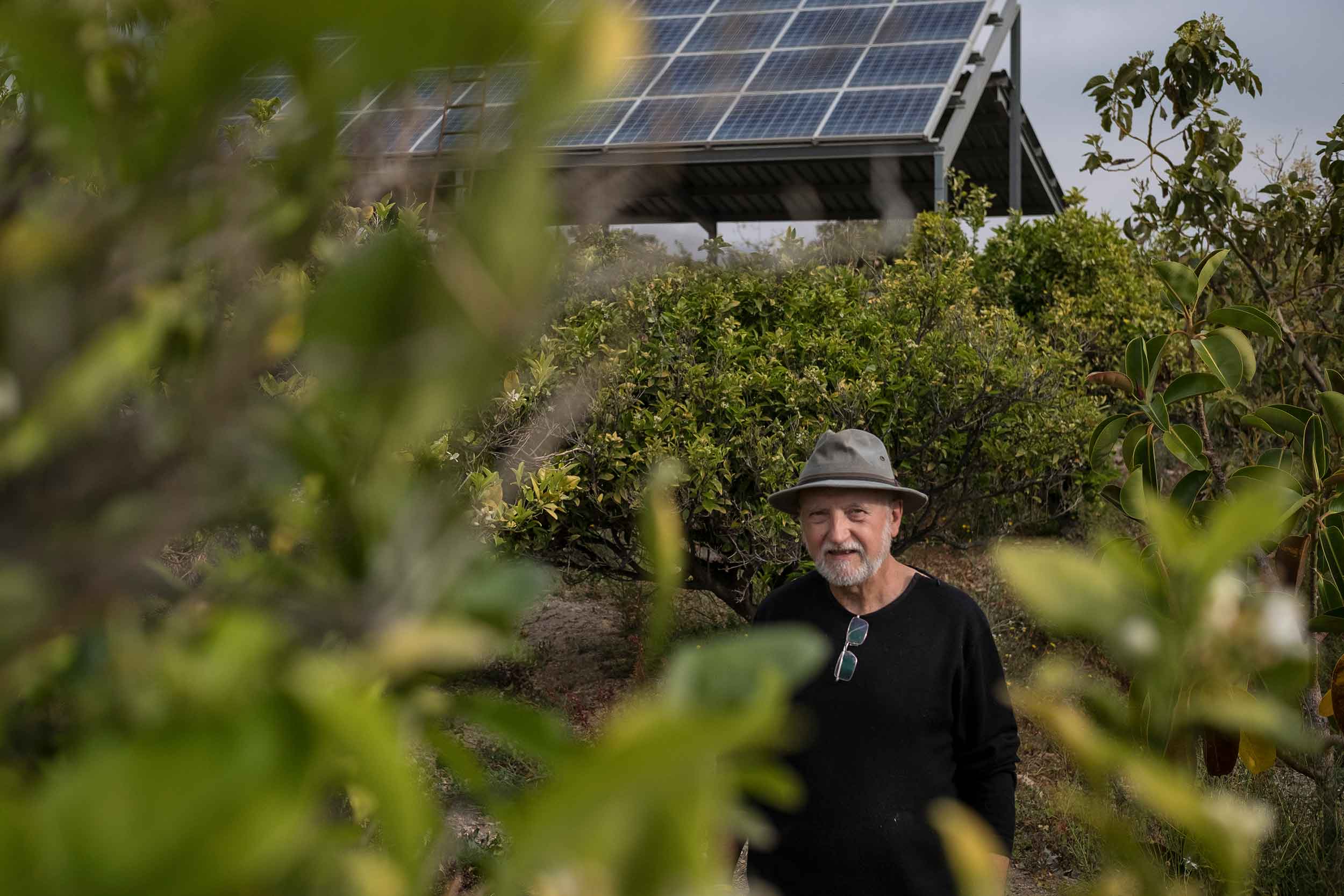 To help fix the coast of living crisis, scale up solar and renewable energy generation