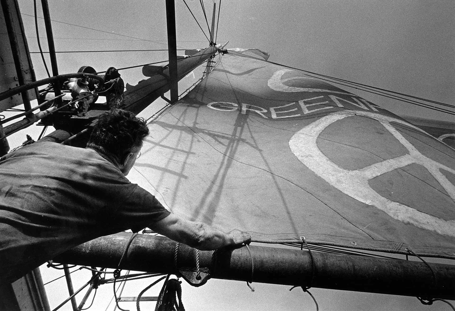 Dave Birmingham raises Greenpeace sail on Phyllis Cormack (also called "Greenpeace"). First Greenpeace campaign, sailing towards Amchitka island to prevent USA nuclear testing. September 1971.    (Greenpeace 30th Anniversary Images photo 1)  (Greenpeace Changing the World page 19)