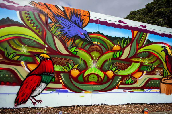 These colorful birds of paradise found a new home in Wellington, New Zealand