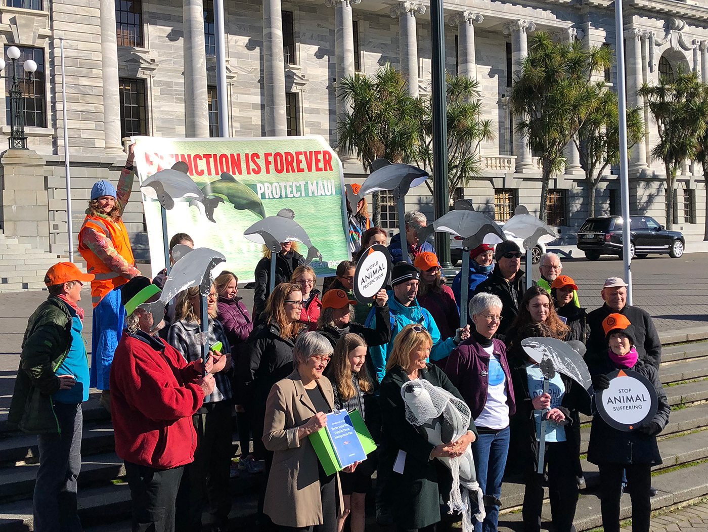 Maui petition handover at Parliament in Wellington