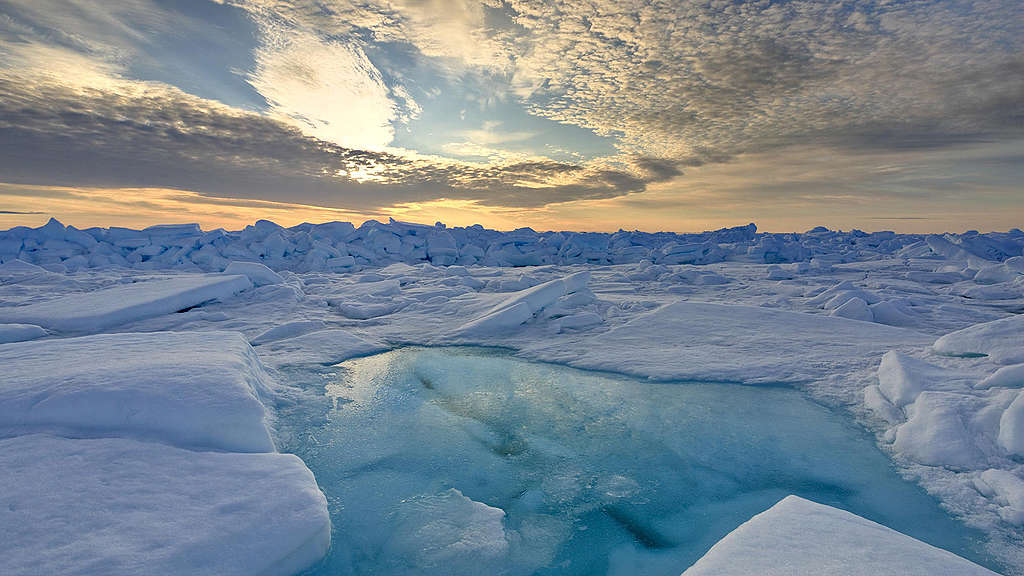 Pack ice melting in the middle of June. Begin of the Arctic summer. 
© Bernd Roemmelt / Greenpeace
