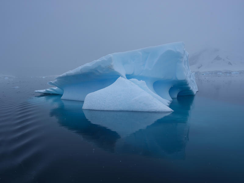 Paradise Bay, Antarctica, Icebergs