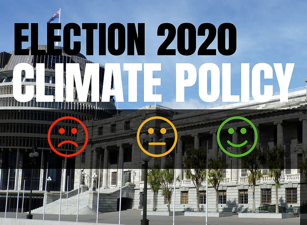 Election 2020 What have political parties committed to do about
