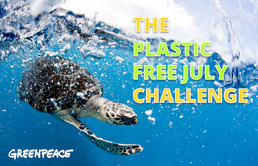 Take the plastic free july challenge