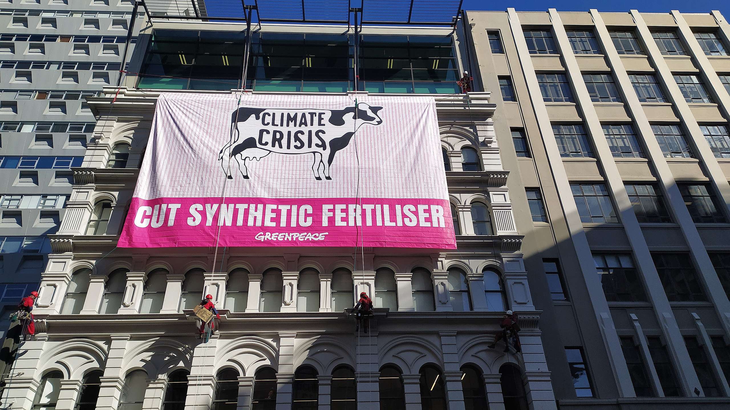 Greenpeace Greenpeace activists climb Fertiliser Association building to highlight industrial dairying's role in climate crisis - Greenpeace Aotearoa