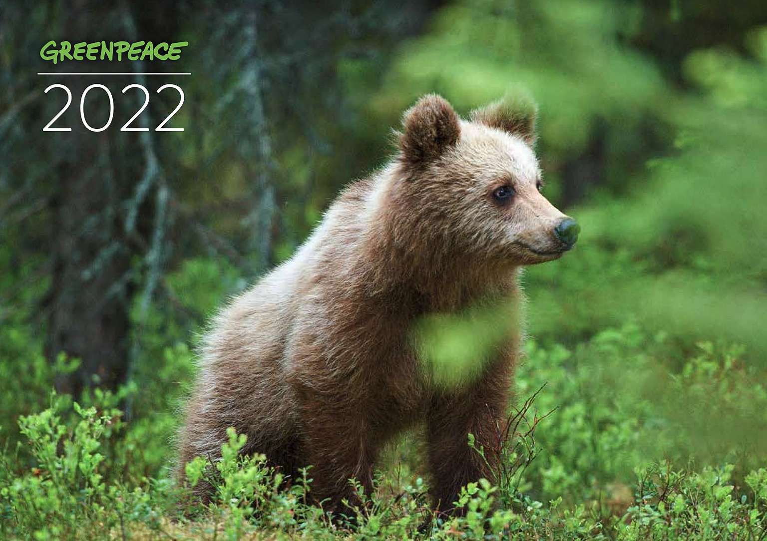 2022 Calendar Greenpeace Aotearoa