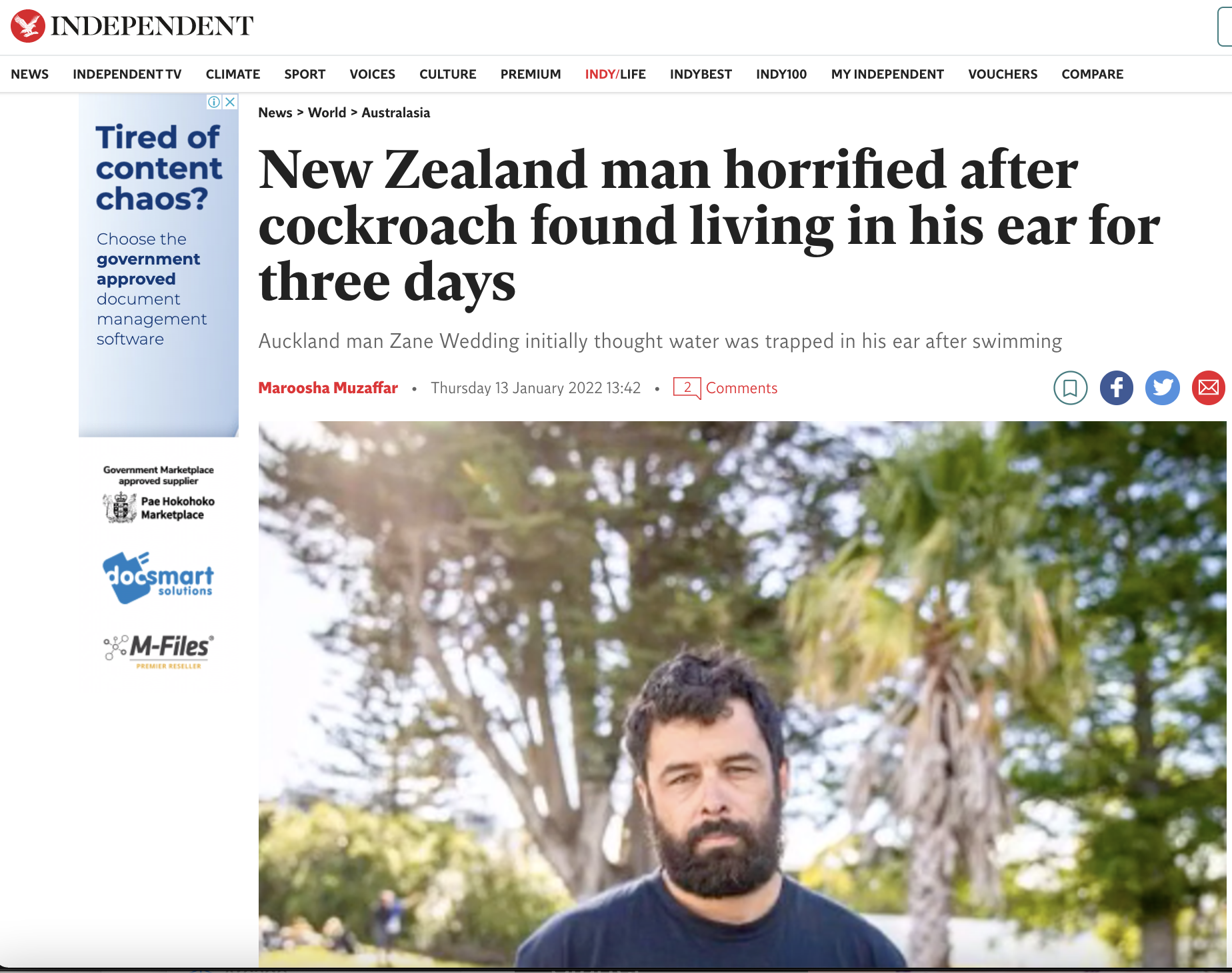 Picture is of a article in the Independent titled: "New Zealand man horrified after cockroach found living in his ear for three days