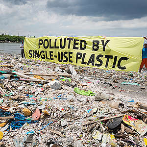 Greenpeace together with the #breakfreefromplastic coalition conduct a beach cleanup activity and brand audit on Freedom Island, Parañaque City, Metro Manila, Philippines. The activity aims to name the brands most responsible for the plastic pollution happening in our oceans.
A banner reads "Polluted by Single-use Plastic".

Freedom island is an ecotourism area which contains a mangrove forest and swamps providing a habitat for many migratory bird species from different countries such as China, Japan and Siberia.