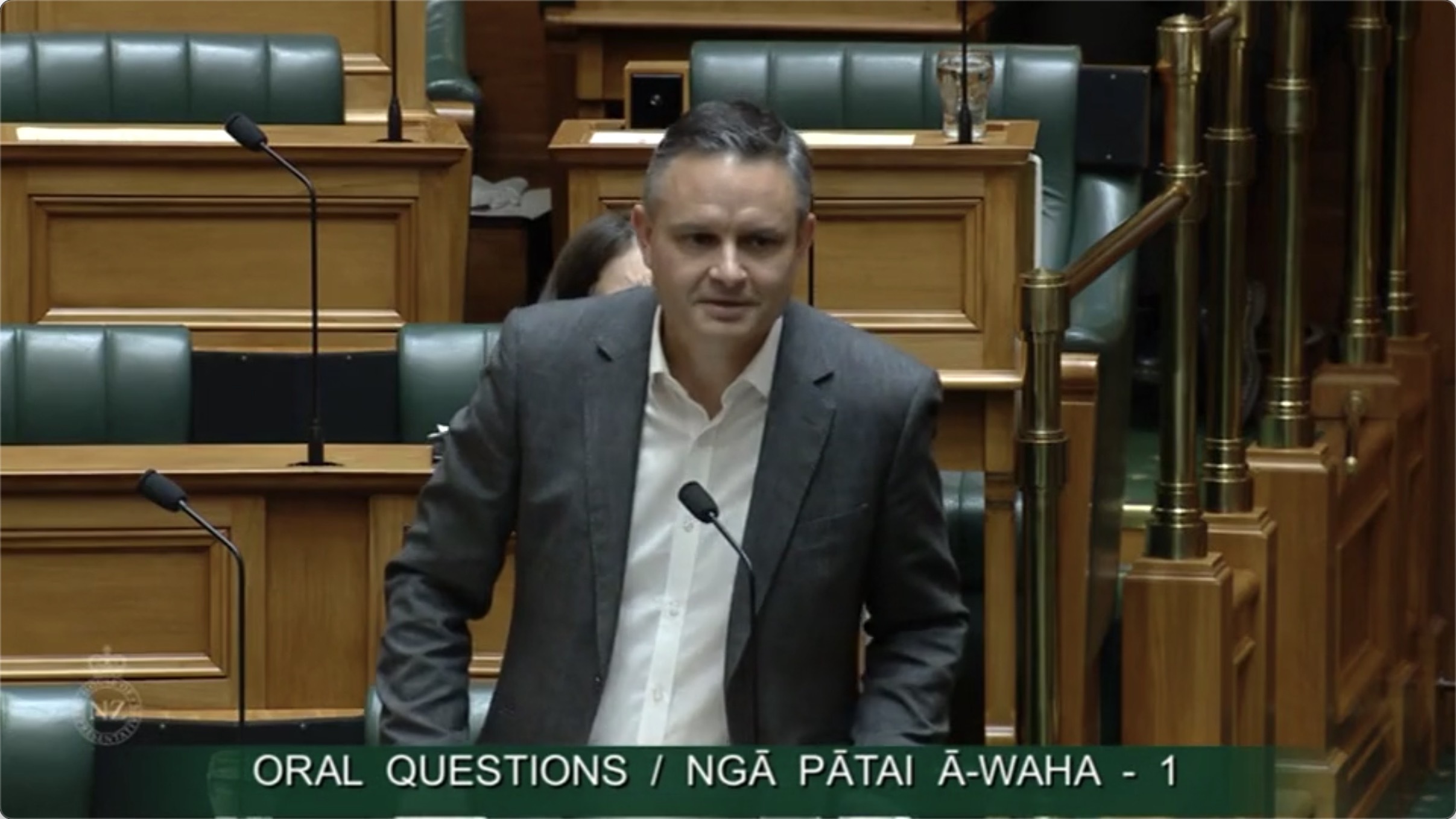 James Shaw in question time