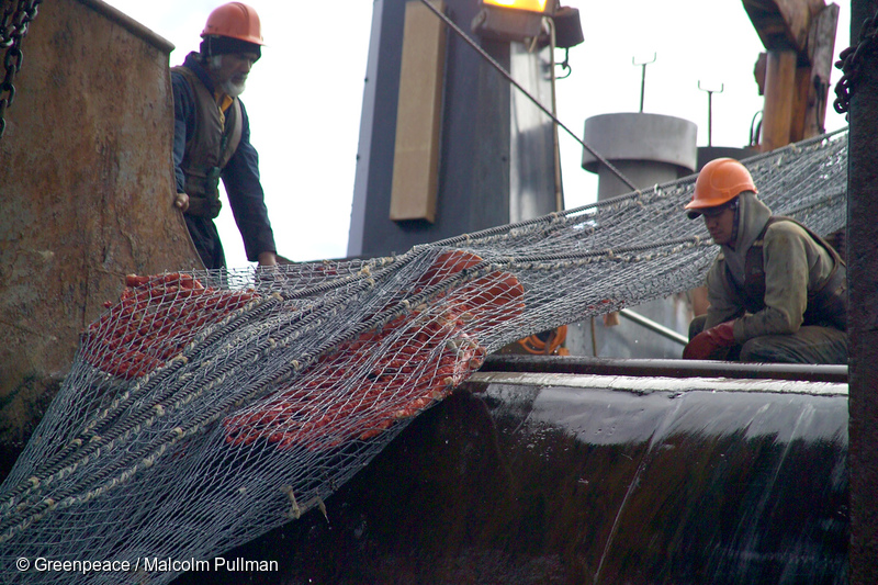 Bangkok Post - Huge cast-off fishing net removed, damaged coral