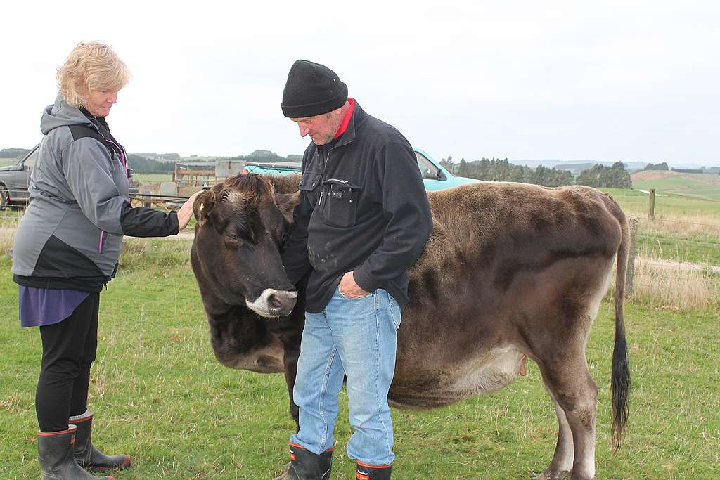 Bronnie and George with Daffodil, the retired cow.
